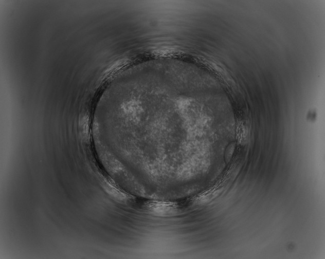 X0000098070670200804251440