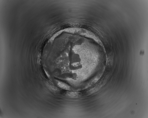 X0000098070671200804251440