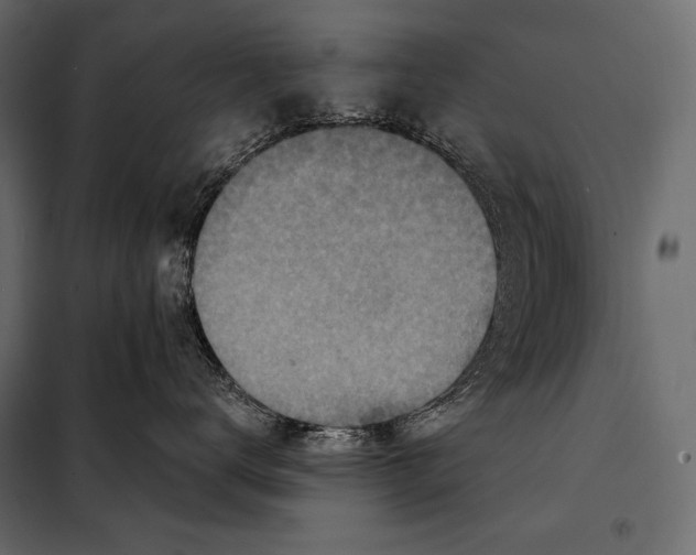 X0000098070672200804251440