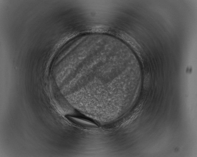 X0000098070673200804251439