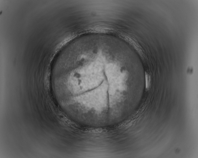 X0000098070675200804251439