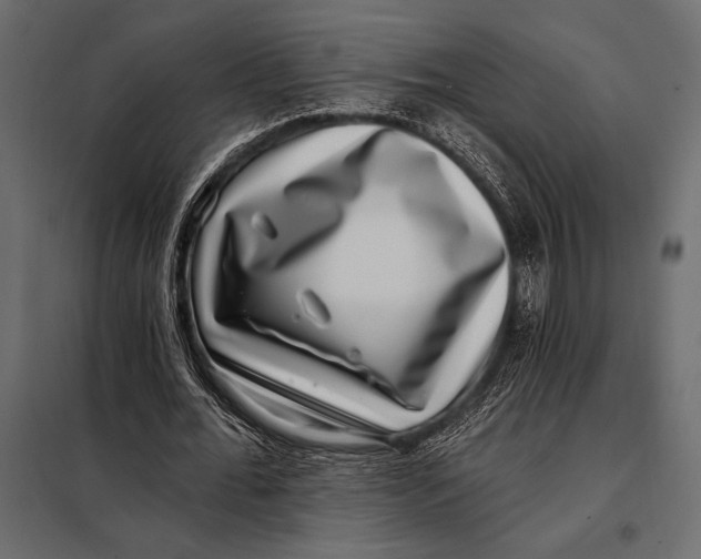 X0000098070676200804251439