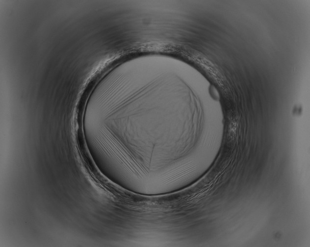 X0000098070678200804251439