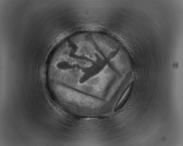 X0000098070679200804251439