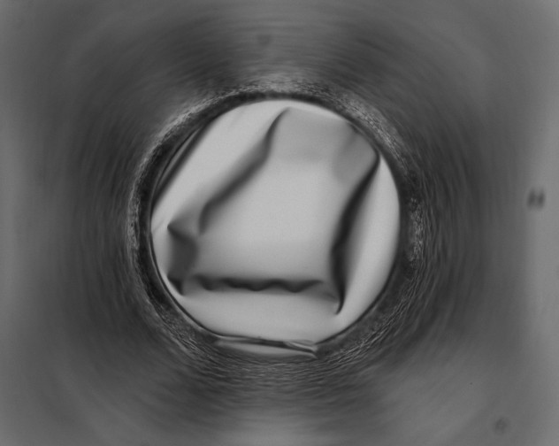 X0000098070680200804251439