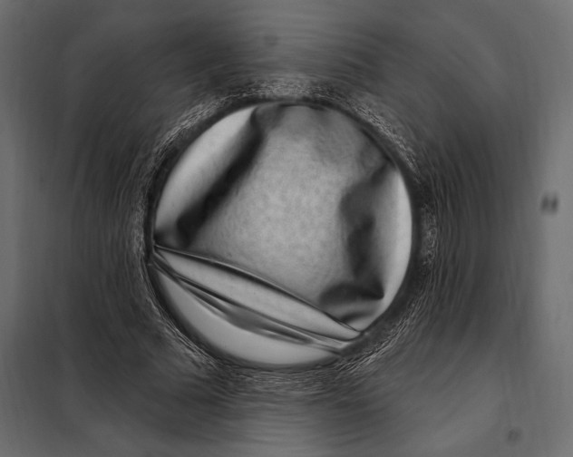 X0000098070681200804251439