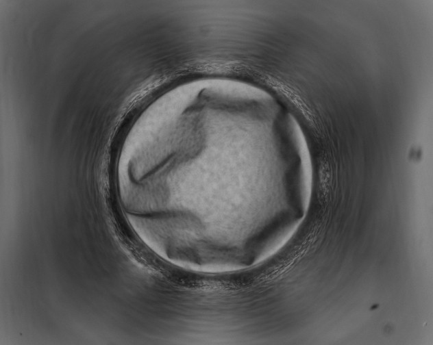 X0000098070682200804251439