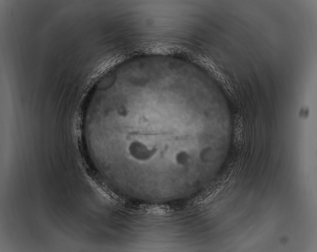 X0000098070683200804251439