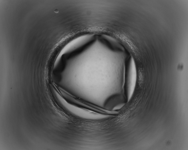 X0000098070684200804251439