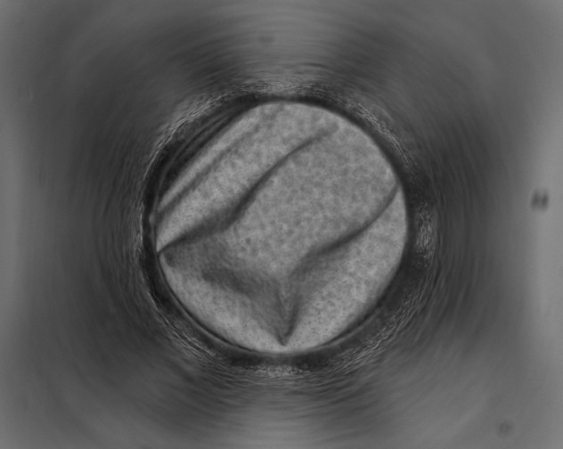 X0000098070685200804251439