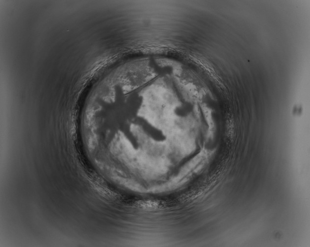 X0000098070687200804251439