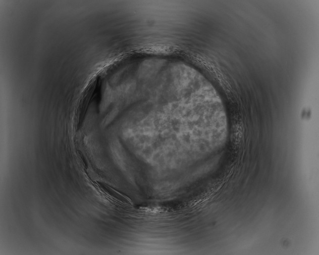 X0000098070688200804251439