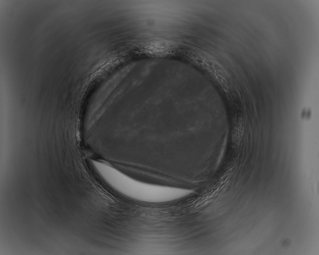 X0000098070689200804251439