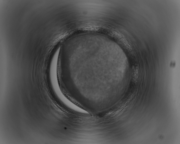 X0000098070692200804251439