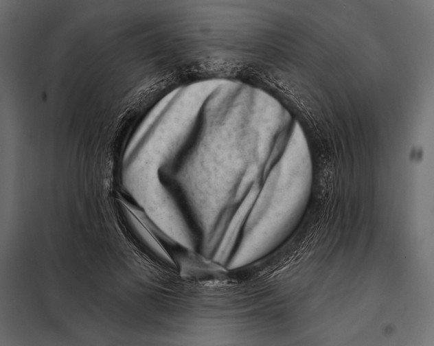 X0000098070693200804251439