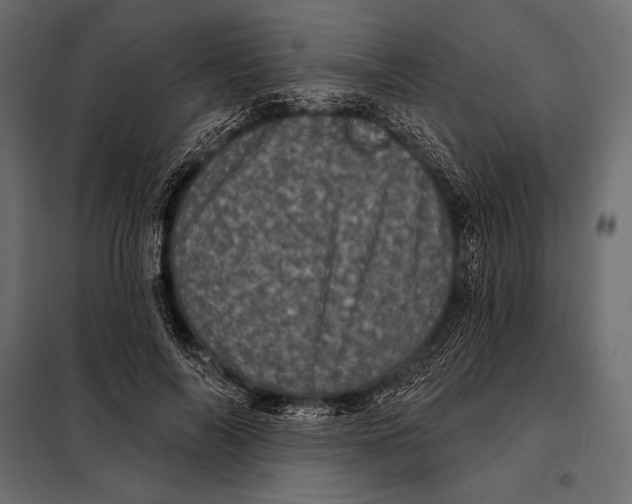 X0000098070694200804251439