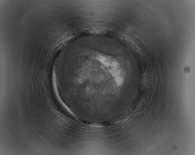 X0000098070696200804251439