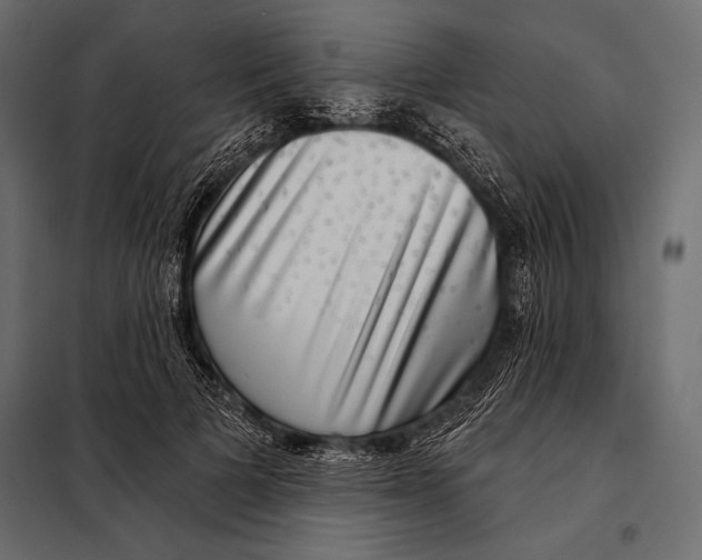 X0000098070697200804251439