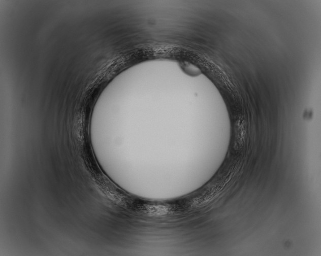 X0000098070698200804251439