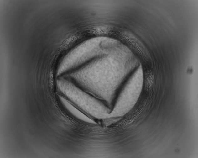 X0000098070700200804251438