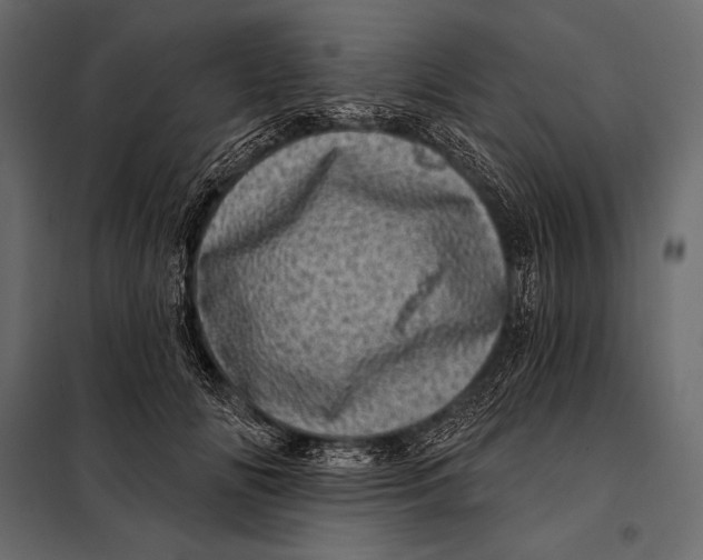 X0000098070702200804251438