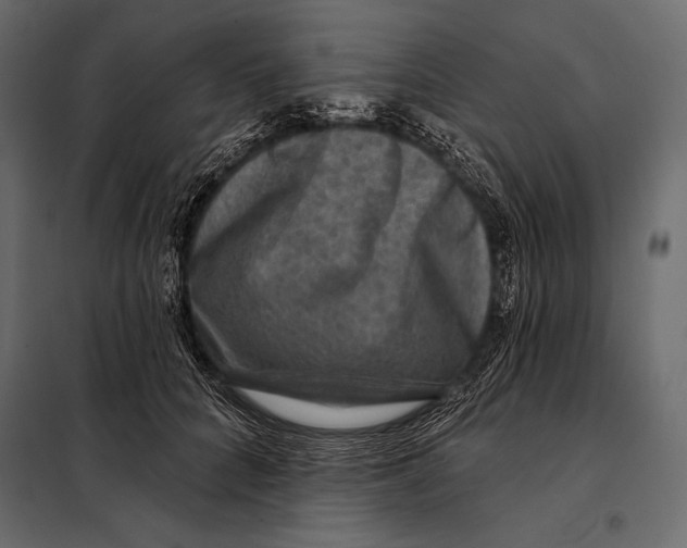 X0000098070704200804251438