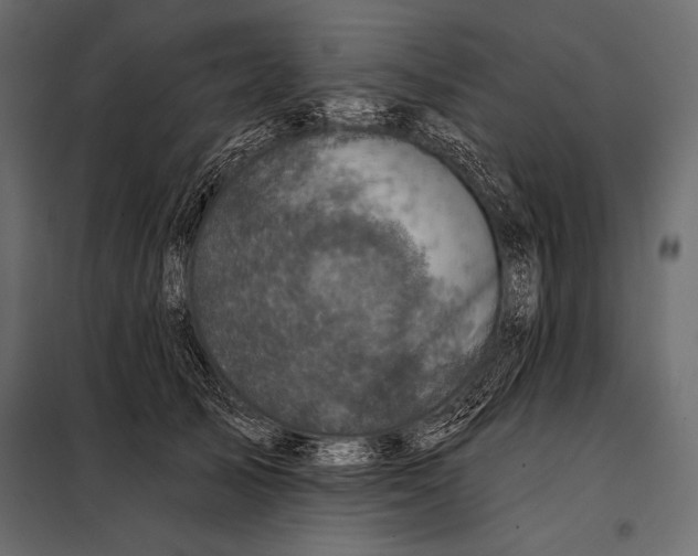 X0000098070705200804251438