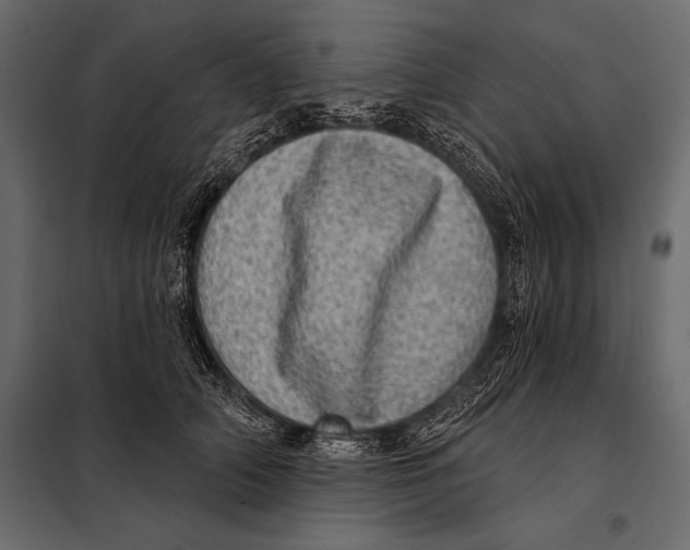 X0000098070706200804251438