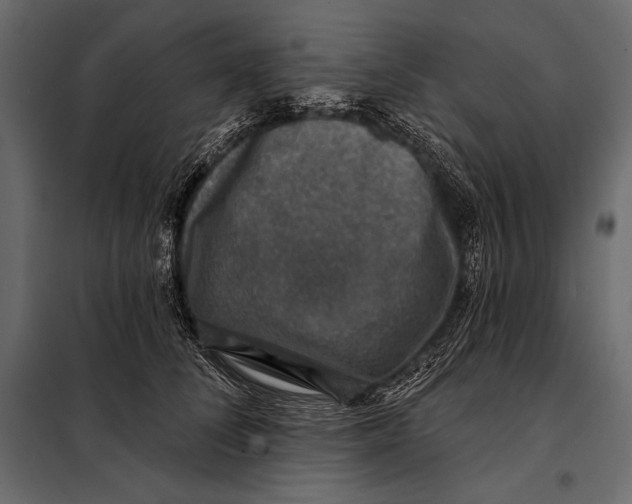 X0000098070708200804251438