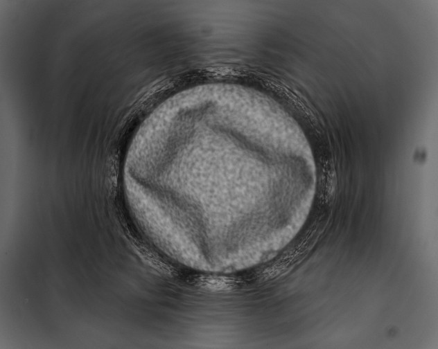 X0000098070710200804251438