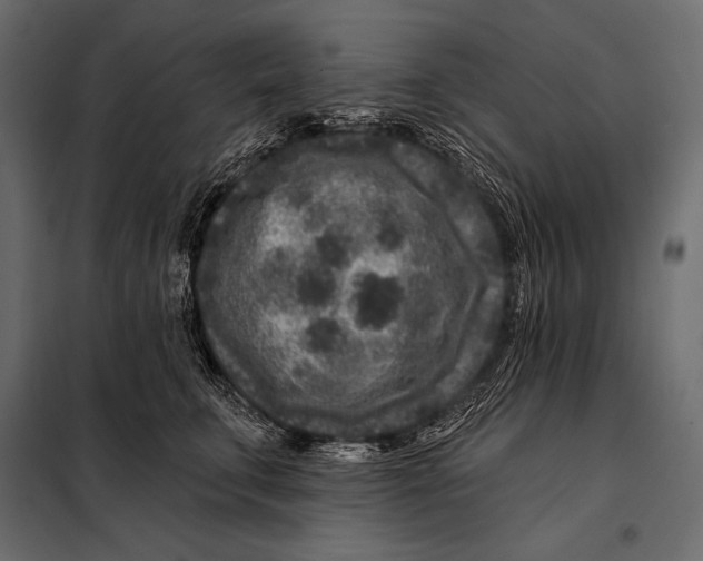 X0000098070711200804251438