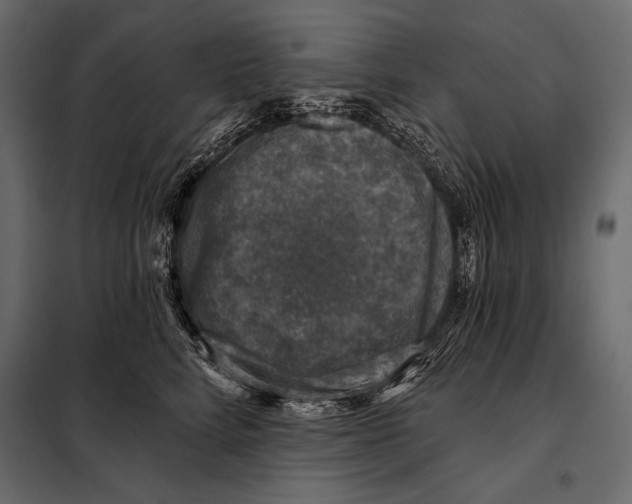 X0000098070712200804251438