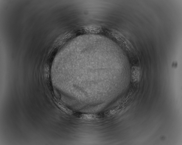 X0000098070713200804251438