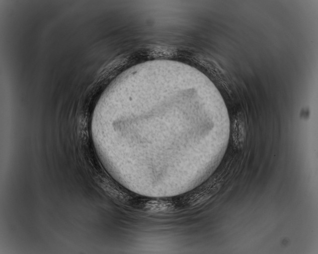 X0000098070714200804251438