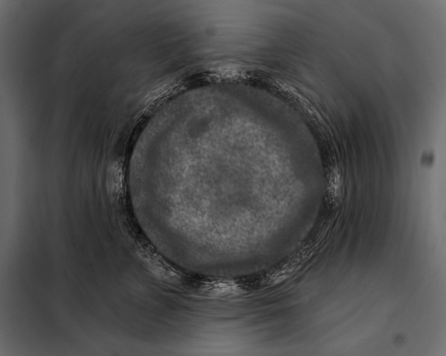 X0000098070715200804251438