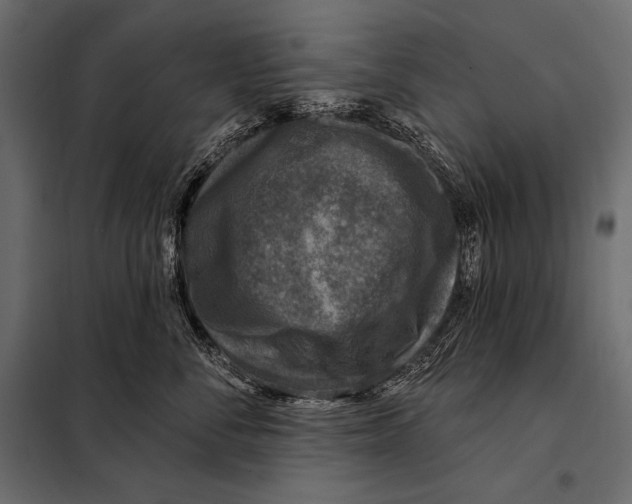 X0000098070716200804251438