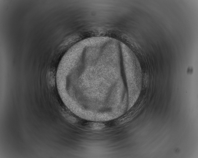 X0000098070719200804251438