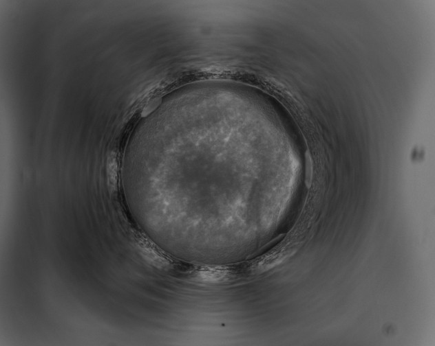 X0000098070720200804251438