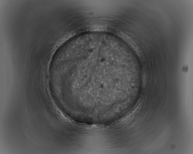 X0000098070721200804251437