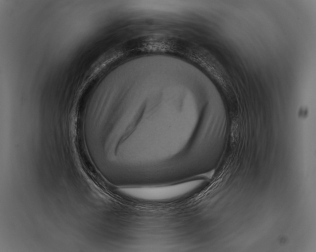 X0000098070722200804251437