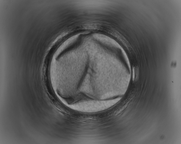 X0000098070723200804251437