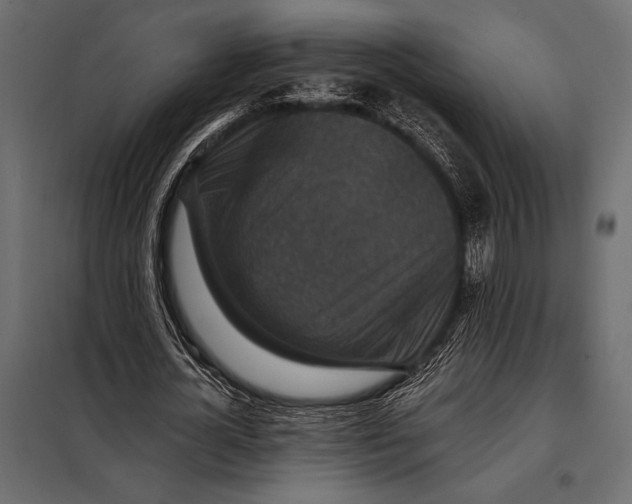 X0000098070724200804251437