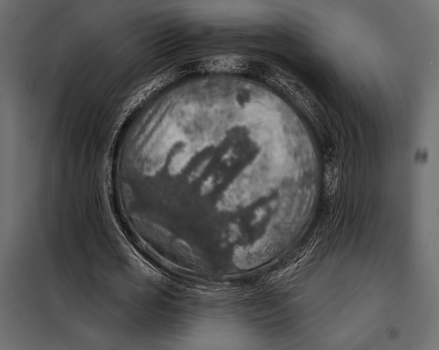 X0000098070725200804251437