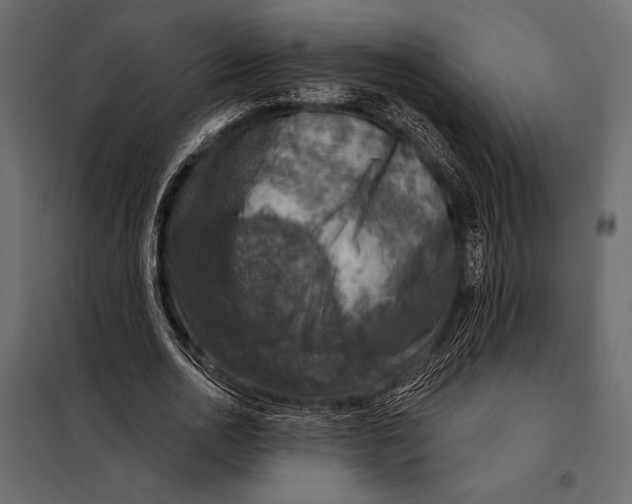 X0000098070726200804251437