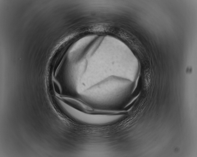 X0000098070728200804251437