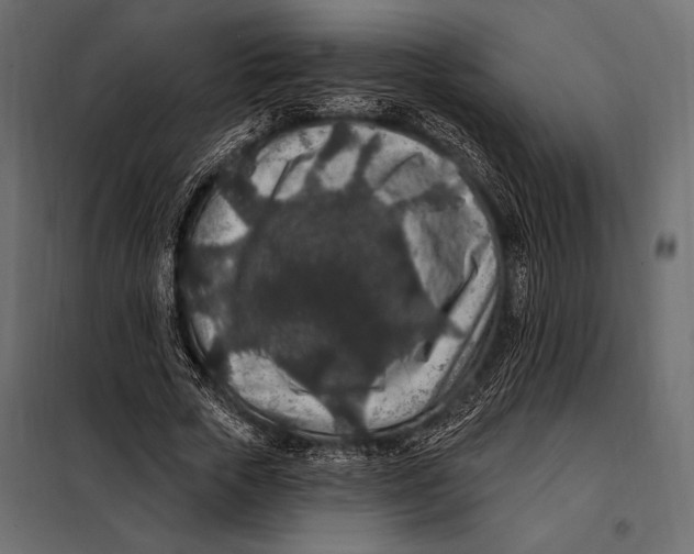 X0000098070729200804251437