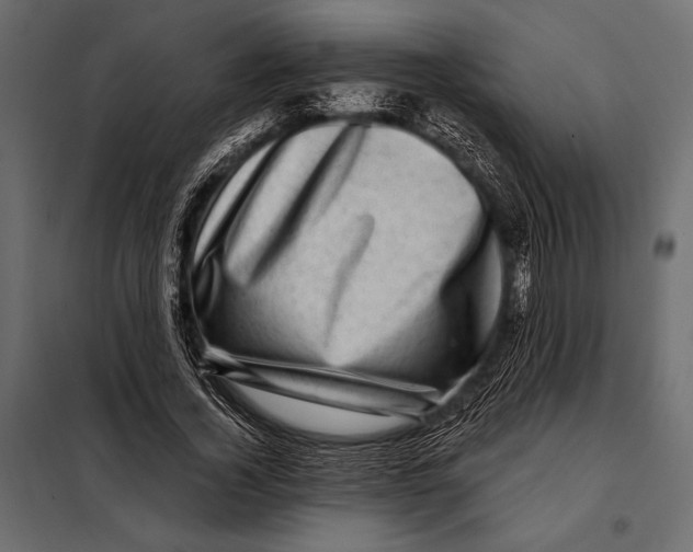 X0000098070732200804251438