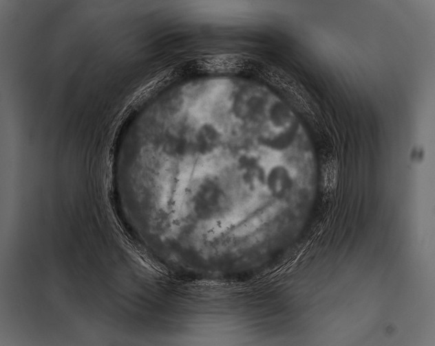 X0000098070733200804251438