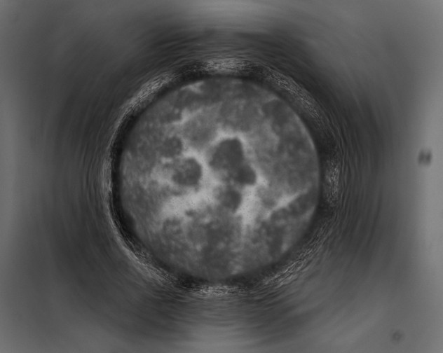 X0000098070734200804251438