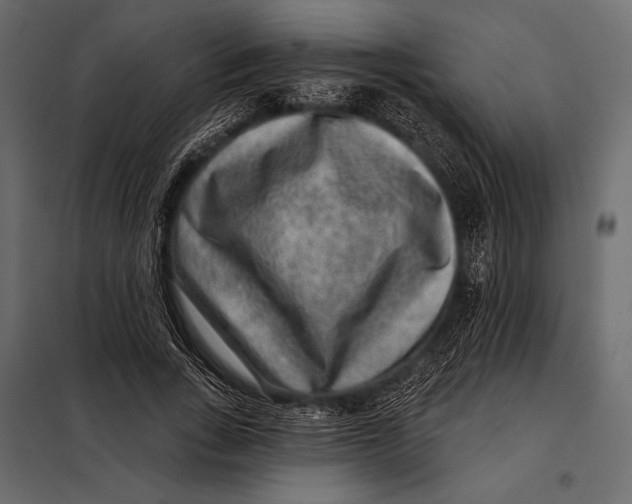 X0000098070735200804251438